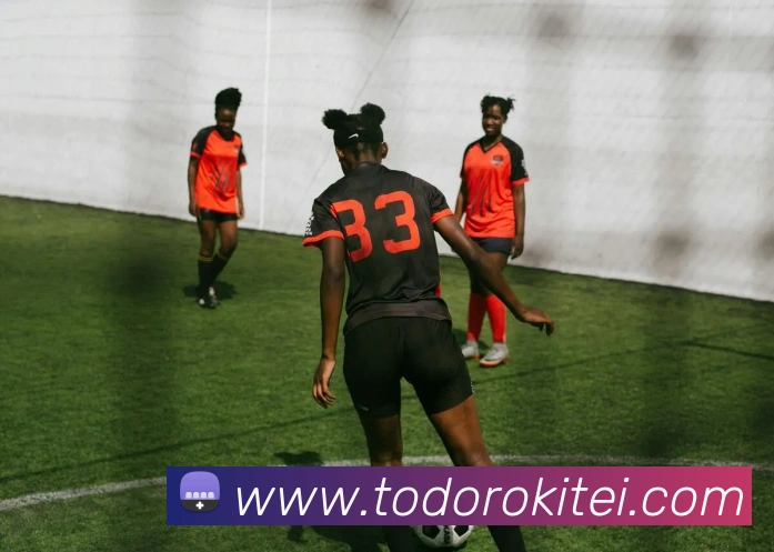 奖项证书